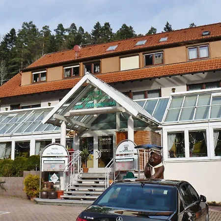 Am Hirschpark Hotel 3*